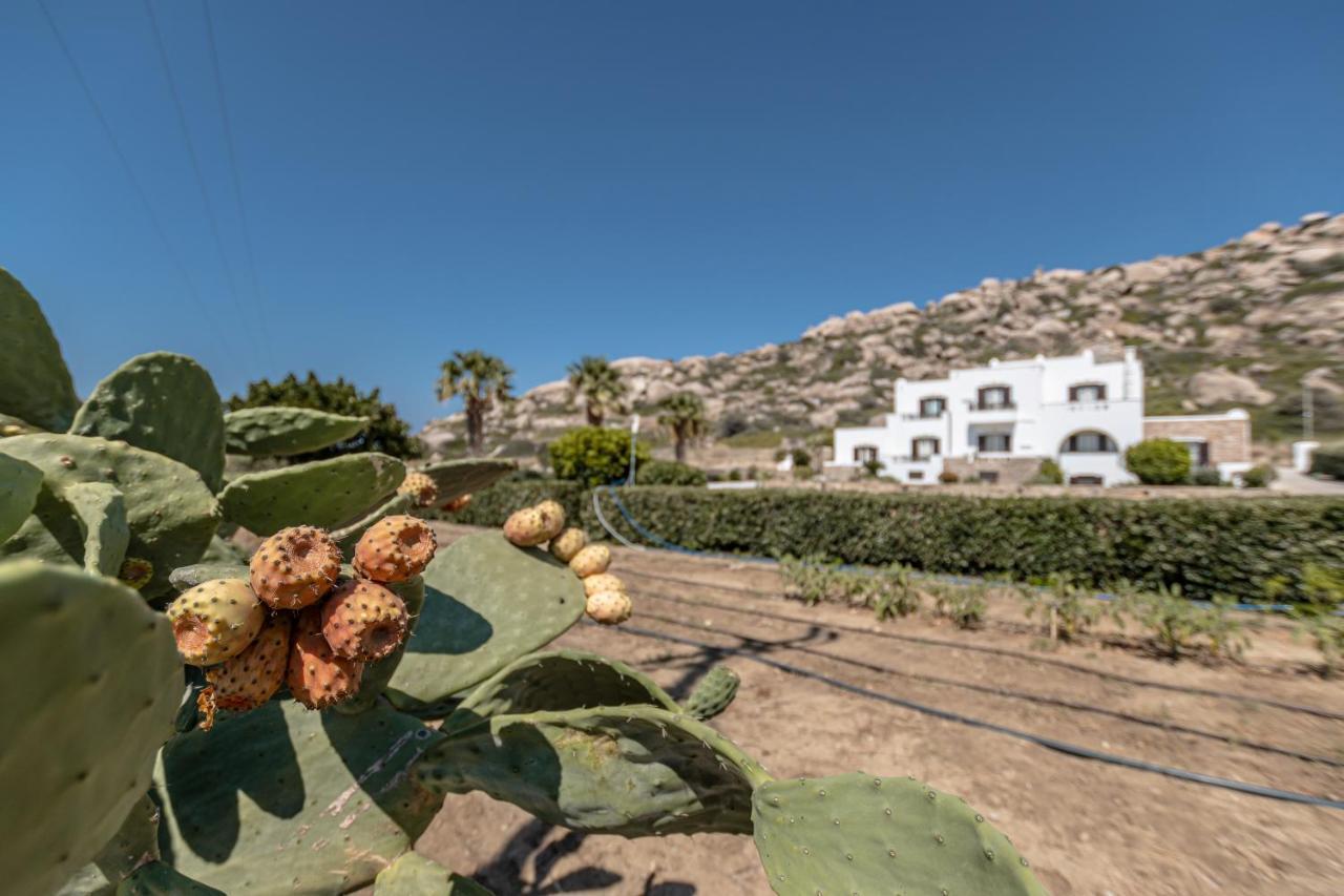 Zefyros Studios Plaka  Bagian luar foto